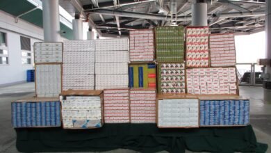 港珠澳大橋口岸截查出境貨車 檢獲約三十二萬件懷疑藥劑製品